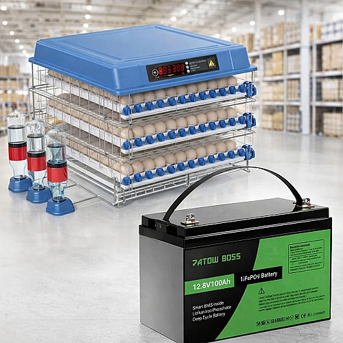 Комплект Інкубатор автоматичний на 300 яєць Vertis (220/12В) для безперервної інкубації+LiFePO4 12V/100Ah акумулятор Datouboss